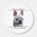 Suche nach frenchie magnete Hund