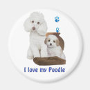 Suche nach rasse magnete Tiere