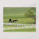 Suche nach buggy postkarten Ohio