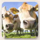 Suche nach betrachten der kamera untersetzer Spaß