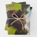 Suche nach weide geschenkpapier Hochlandkuh