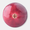 Suche nach rosa beere magnete Beeren
