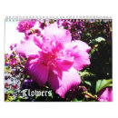 Suche nach weiße blumen kalender Pflanze