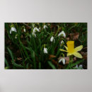 Suche nach trostlosen poster Blumenreich