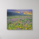 Suche nach wiese leinwandbilder Lila