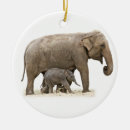 Suche nach asiatisch ornamente Tiere