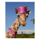Suche nach rosa giraffe poster Tier