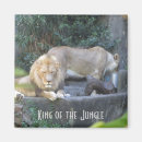 Suche nach löwen magnete Wild