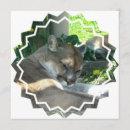 Suche nach berglöwe postkarten Große katze