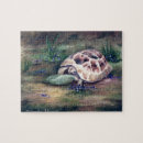Suche nach schildkröte puzzle Reptil