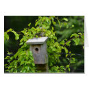 Suche nach birdhouse Haus