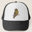 Suche nach bird kappen Vögel