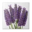 Suche nach lavendel fliesen Blume