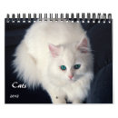 Suche nach persisch kalender Tabby