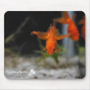 Suche nach goldfisch mousepads Aquarium