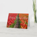 Suche nach rote tulpen karten Mother