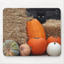 Suche nach kürbis mousepads Schwarzkatze