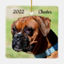 Suche nach brauner und weißer hund ornamente Hunde