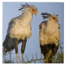 Suche nach bird fliesen Tierwelt