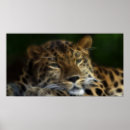 Suche nach tag der erde kunst Wild