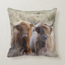 Suche nach kalb kissen Ranch