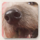 Suche nach mund untersetzer Vertikal