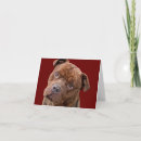 Suche nach pitbulls karten Hunde