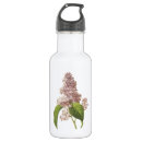 Suche nach syringa Blume
