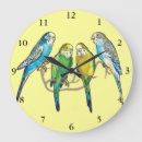 Suche nach budgies poster Budgerigar