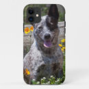 Suche nach usa iphone hüllen Abenteuer