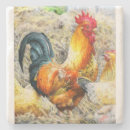 Suche nach brahma huhn wohnen zuhause Hahn
