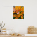 Suche nach canna poster Botanisch