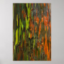 Suche nach orange schwarzes poster Natur