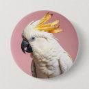 Suche nach lustiger papagei buttons Kakadu