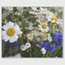 Suche nach gänseblümchen geschenkpapier Blüte