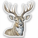 Suche nach geweihe aufkleber Hirsch