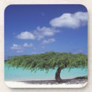 Suche nach aruba untersetzer Urlaub