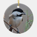 Suche nach kappen ornamente Vogel