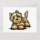Suche nach cairns postkarten Terrier