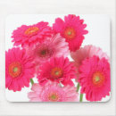 Suche nach rosa gerbera mousepads Gänseblümchen