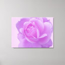 Suche nach florenz leinwandbilder Foto