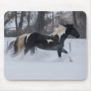 Suche nach laufende hors Bauernhof