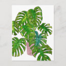 Suche nach dschungel postkarten Botanisch