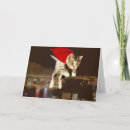 Suche nach das ist was sup ist karten Einzigartig