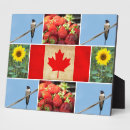 Suche nach kanada fotoplatten Kanadier