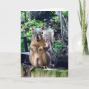 Suche nach alberne lustige karten Witz