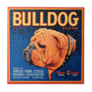 Suche nach blauer hintergrund fliesen Vintag