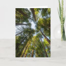 Suche nach staat von kalifornien karten Wald