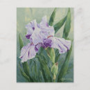 Suche nach lila iris postkarten Grün