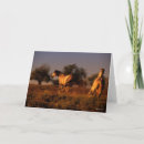 Suche nach zwei pferde karten Rasse